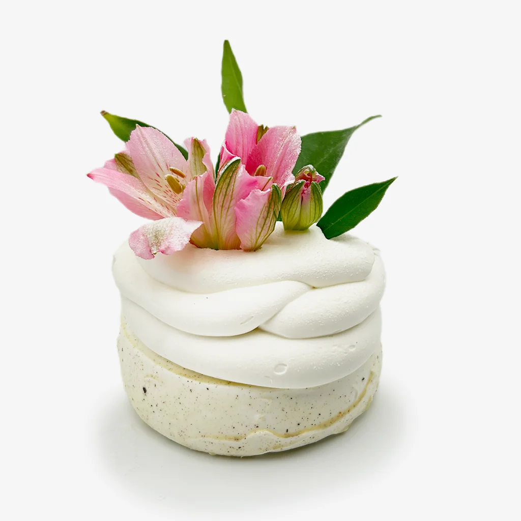 Pavlovas Joël MAIER à Lyon