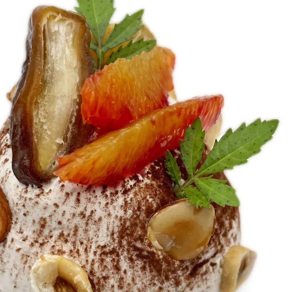 Pavlovas Joël MAIER à Lyon