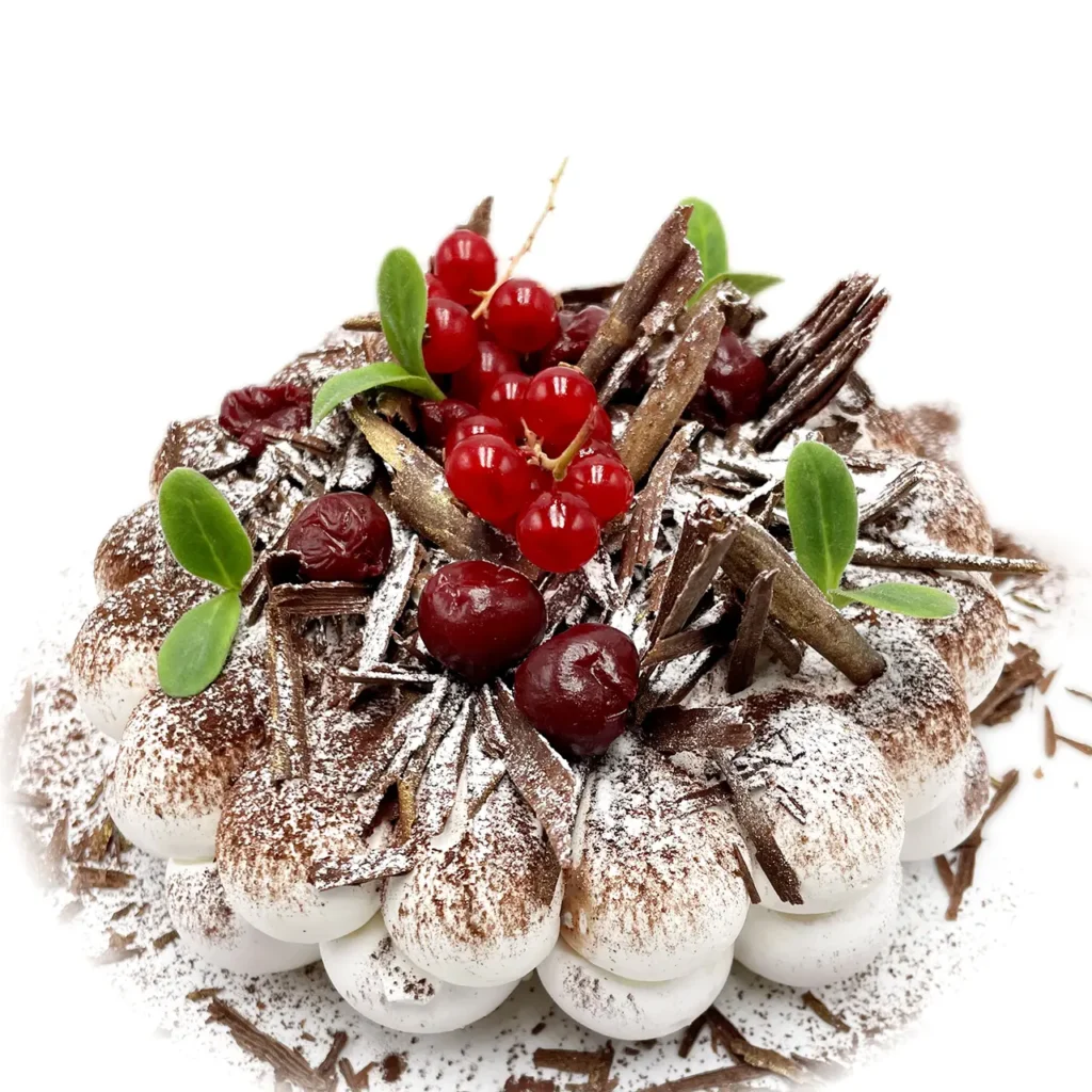Pavlovas Joël MAIER à Lyon