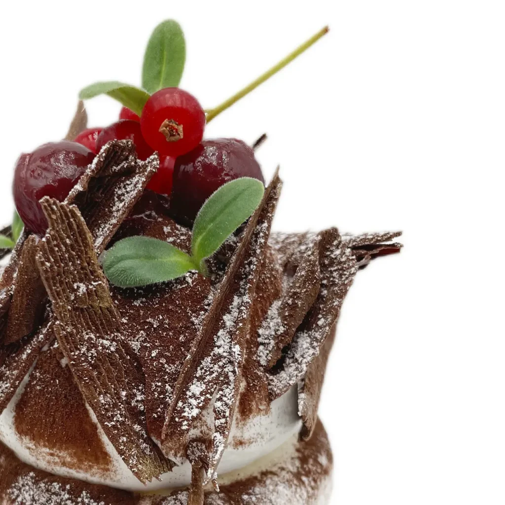 Pavlovas Joël MAIER à Lyon