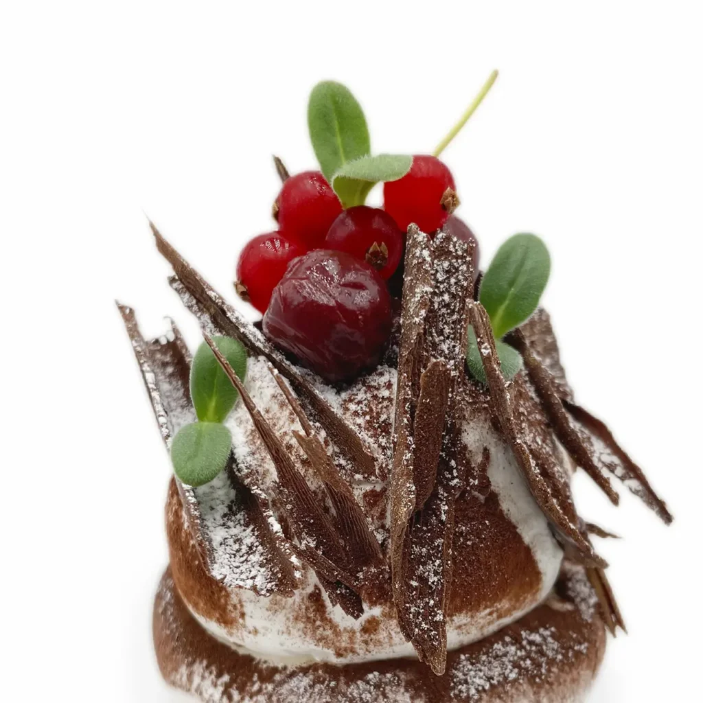 Pavlovas Joël MAIER à Lyon