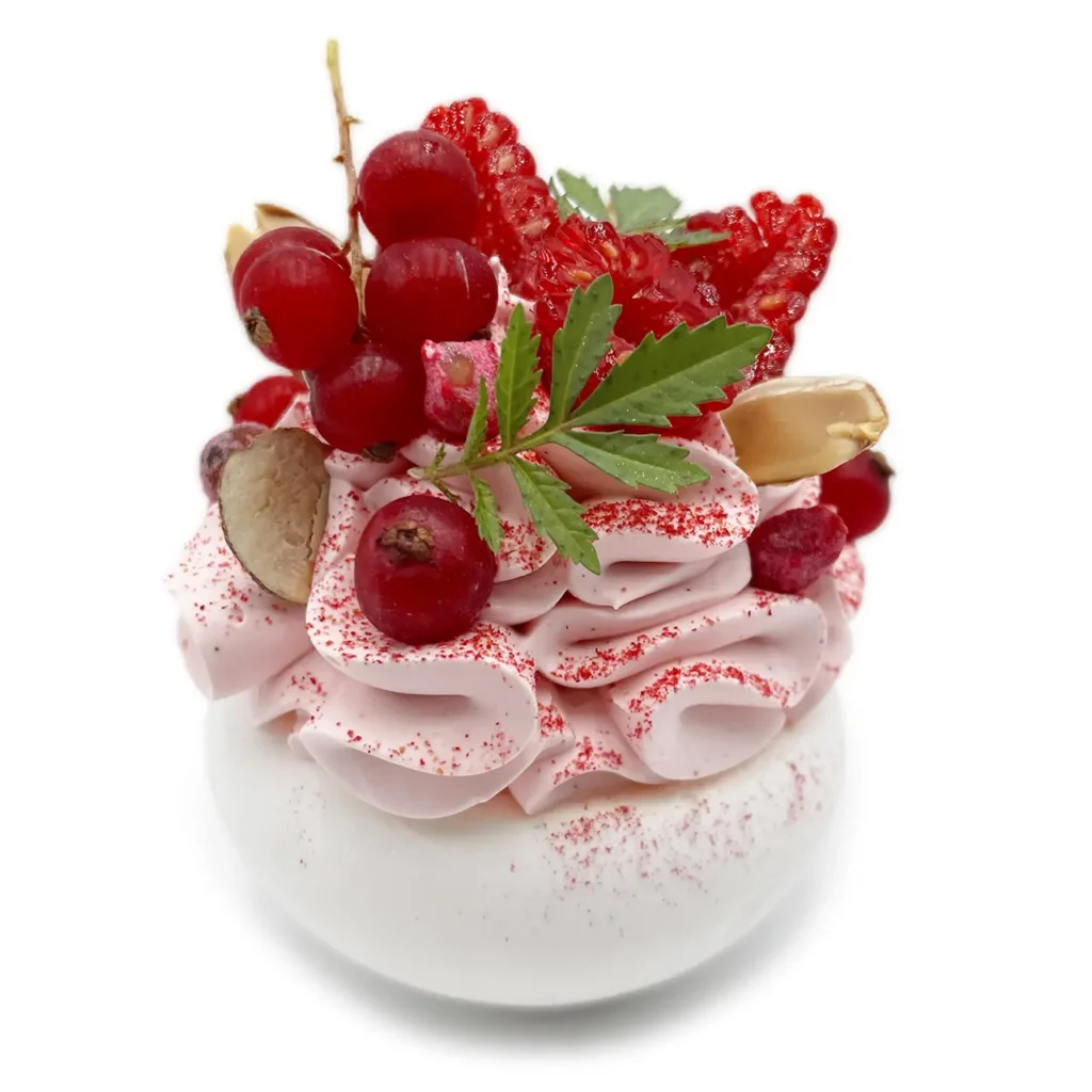 Pavlovas Joël MAIER à Lyon