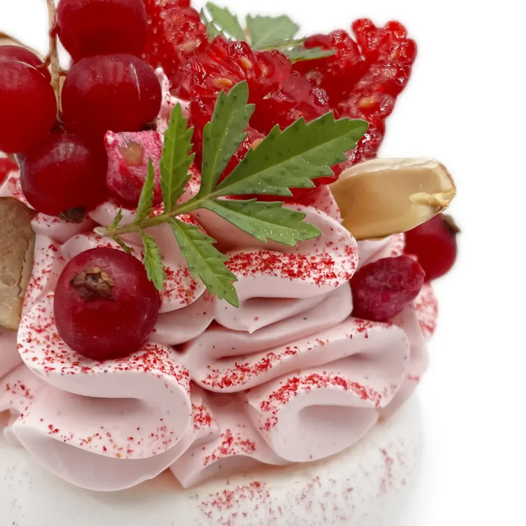 Pavlovas Joël MAIER à Lyon