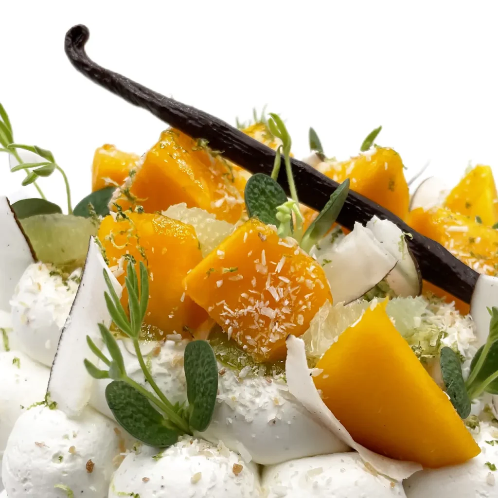 Pavlovas Joël MAIER à Lyon