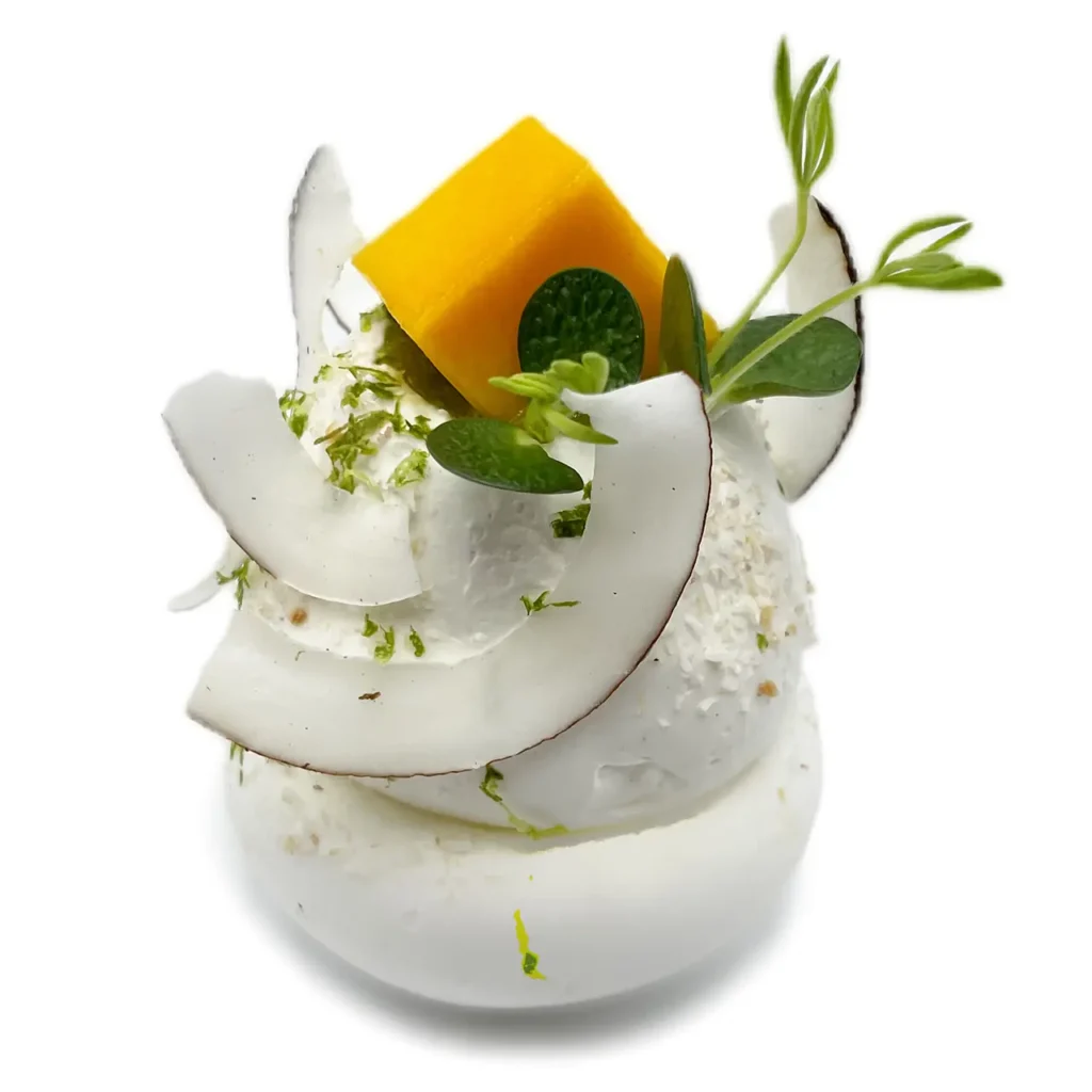 Pavlovas Joël MAIER à Lyon