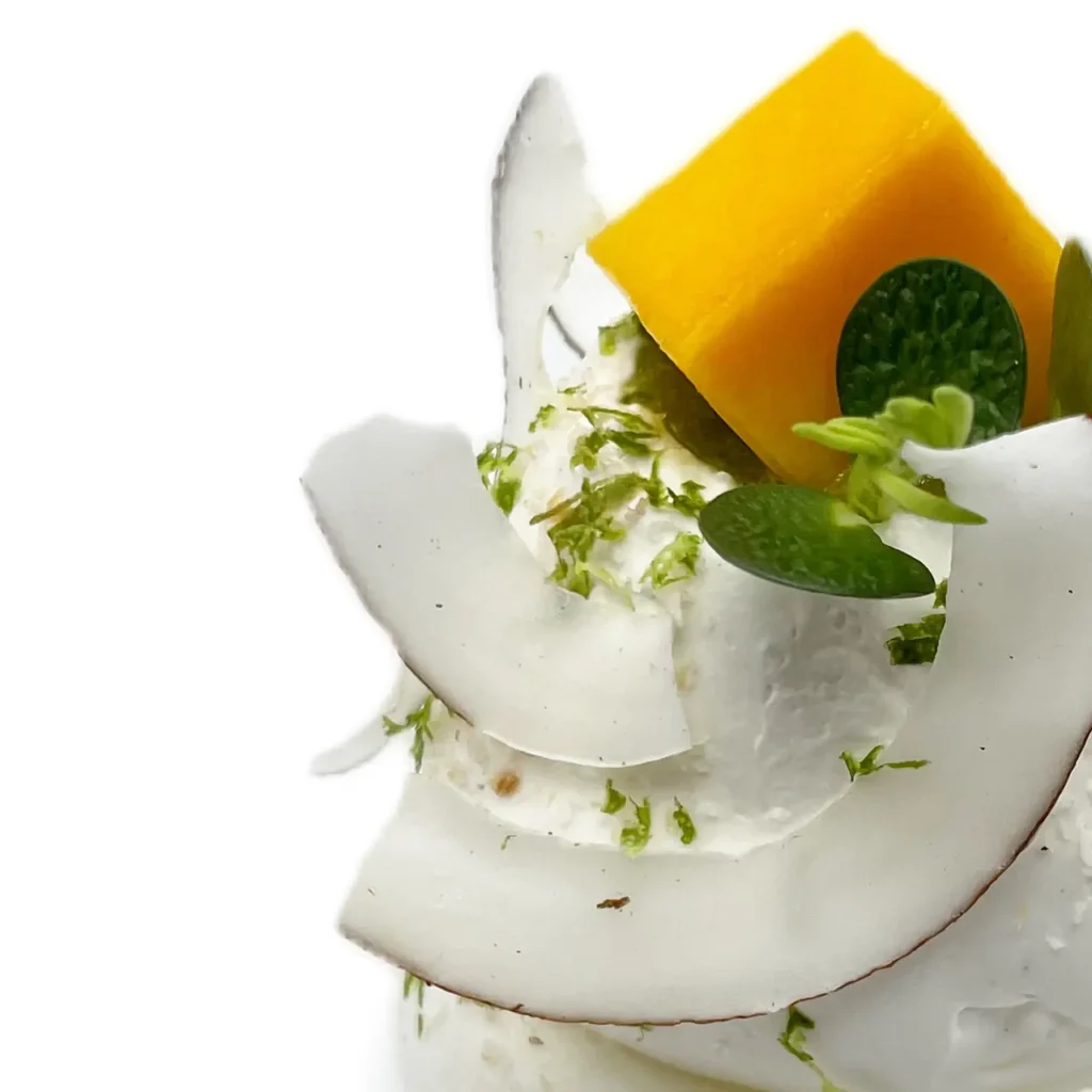 Pavlovas Joël MAIER à Lyon
