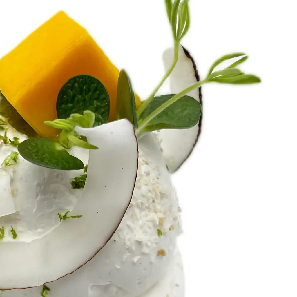 Pavlovas Joël MAIER à Lyon