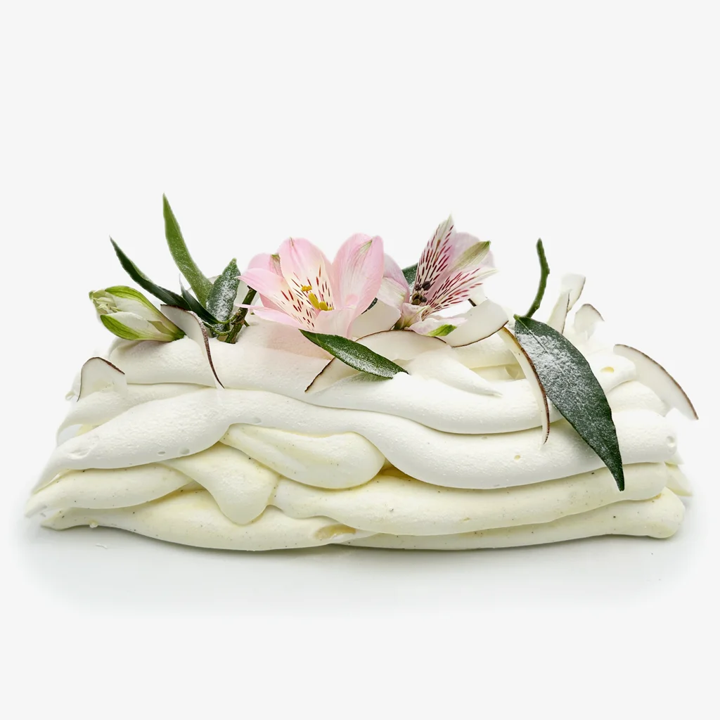 Pavlovas Joël MAIER à Lyon