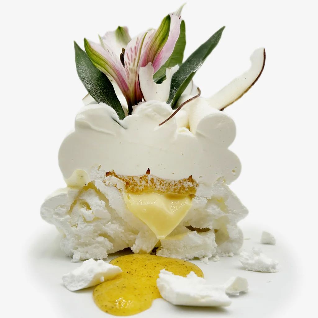 Pavlovas Joël MAIER à Lyon