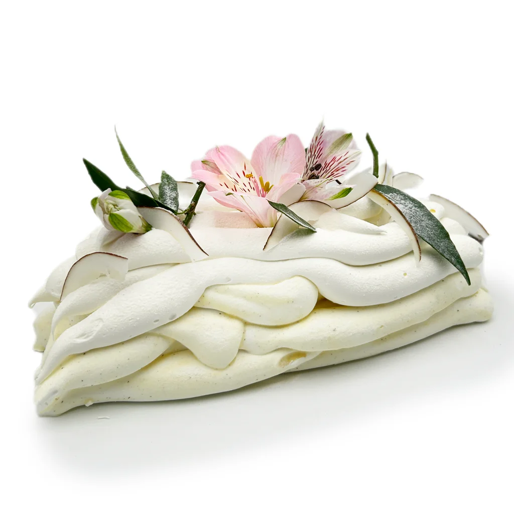 Pavlovas Joël MAIER à Lyon