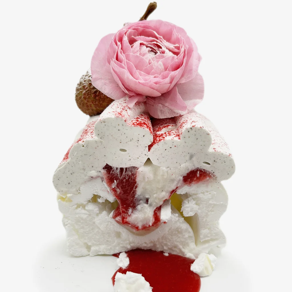 Pavlovas Joël MAIER à Lyon