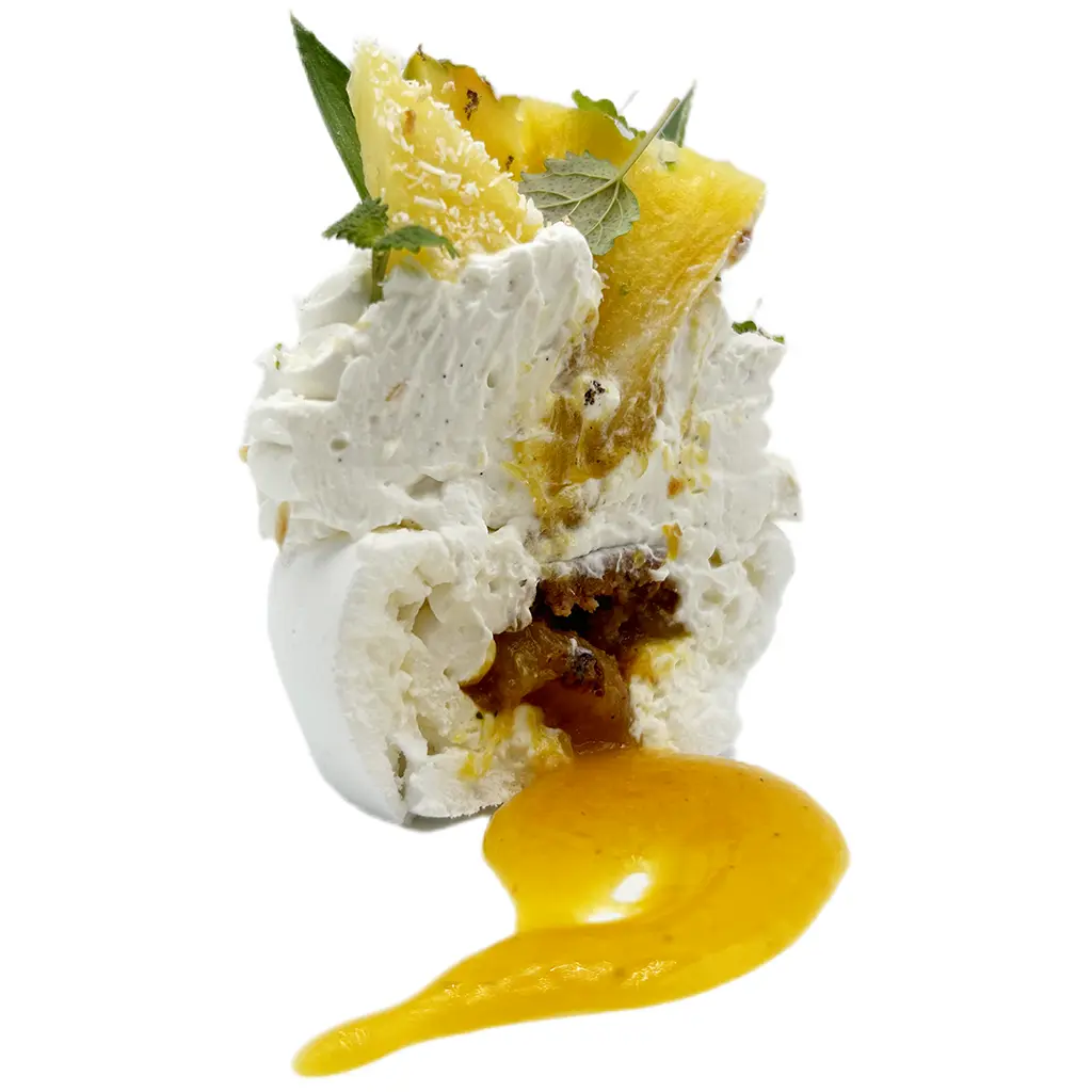 Pavlovas Joël MAIER à Lyon