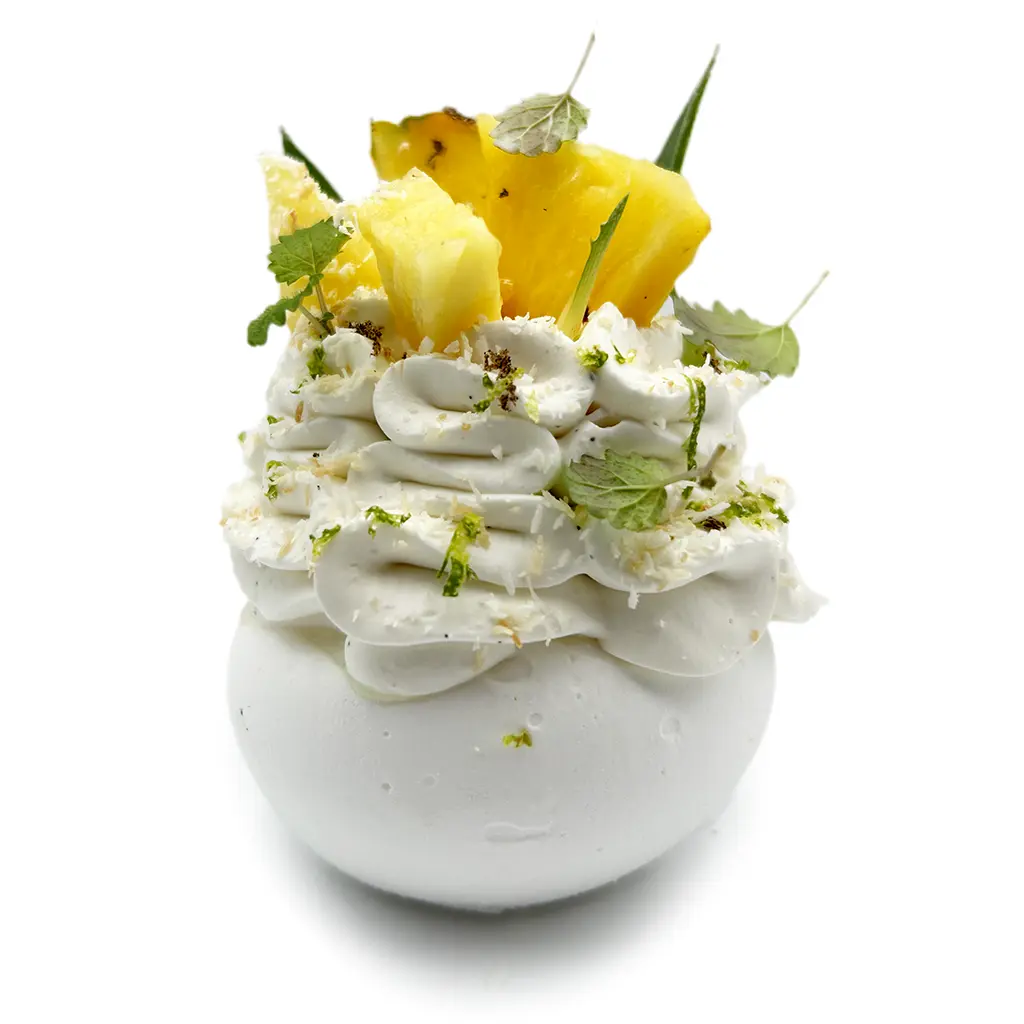 Pavlovas Joël MAIER à Lyon