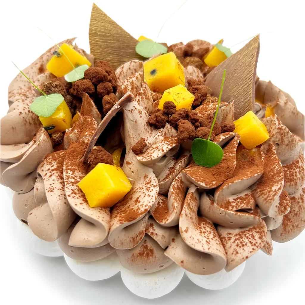 Pavlovas Joël MAIER à Lyon
