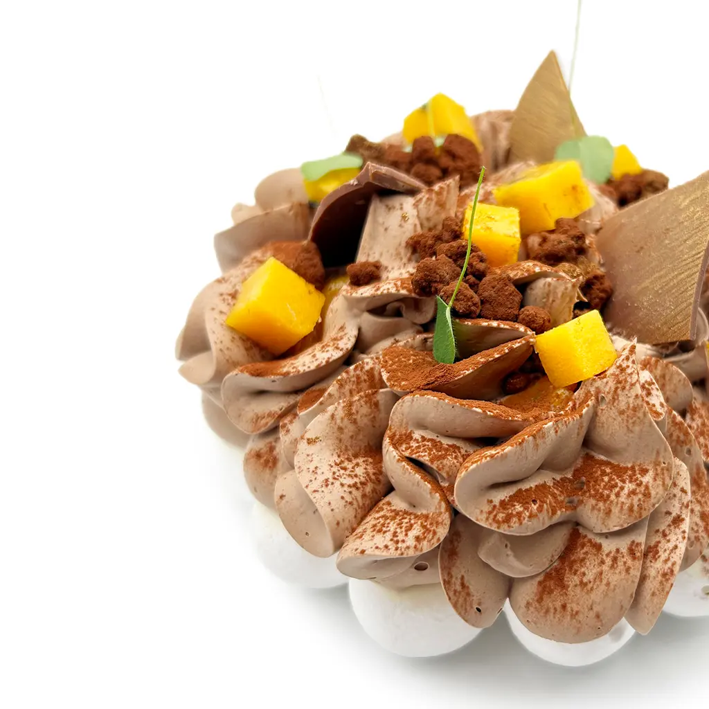 Pavlovas Joël MAIER à Lyon