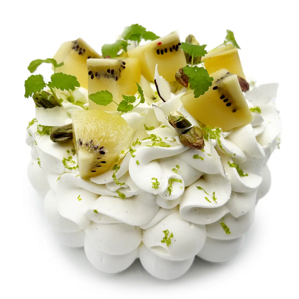 Pavlovas Joël MAIER à Lyon