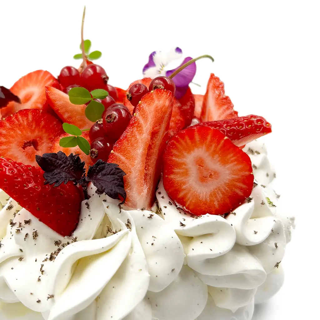 Pavlovas Joël MAIER à Lyon