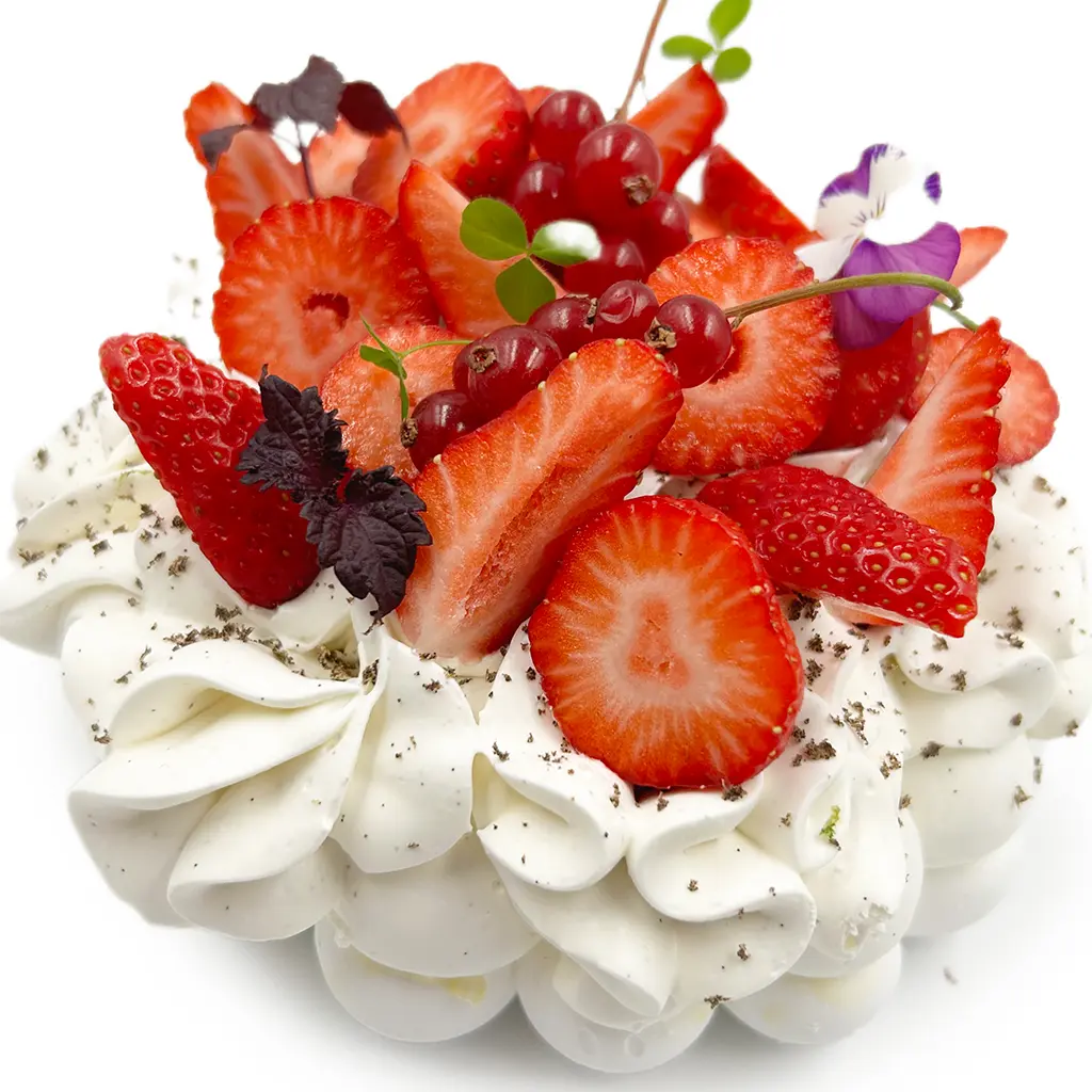 Pavlovas Joël MAIER à Lyon