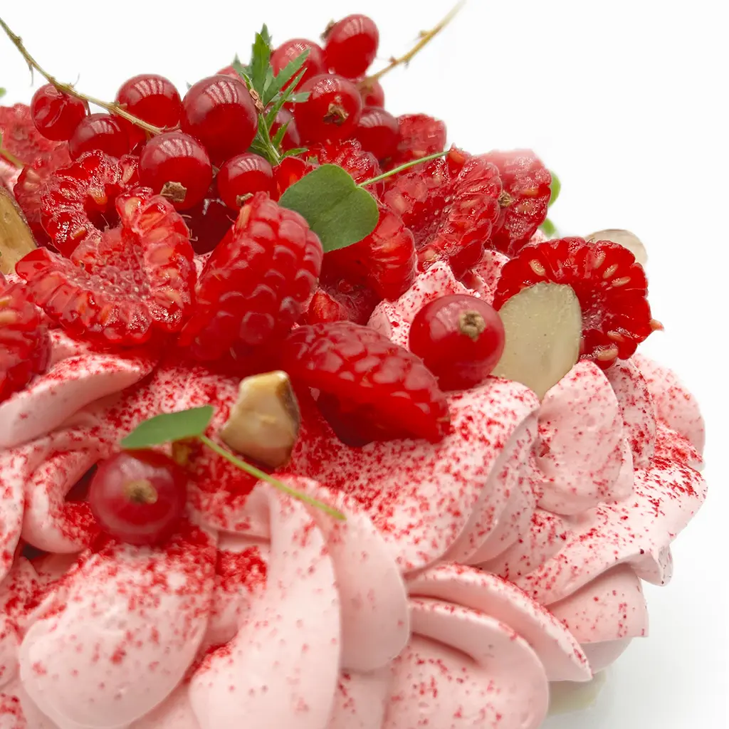 Pavlovas Joël MAIER à Lyon