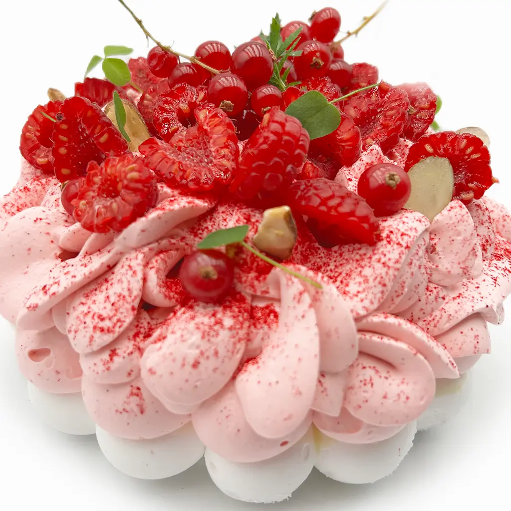 Pavlovas Joël MAIER à Lyon