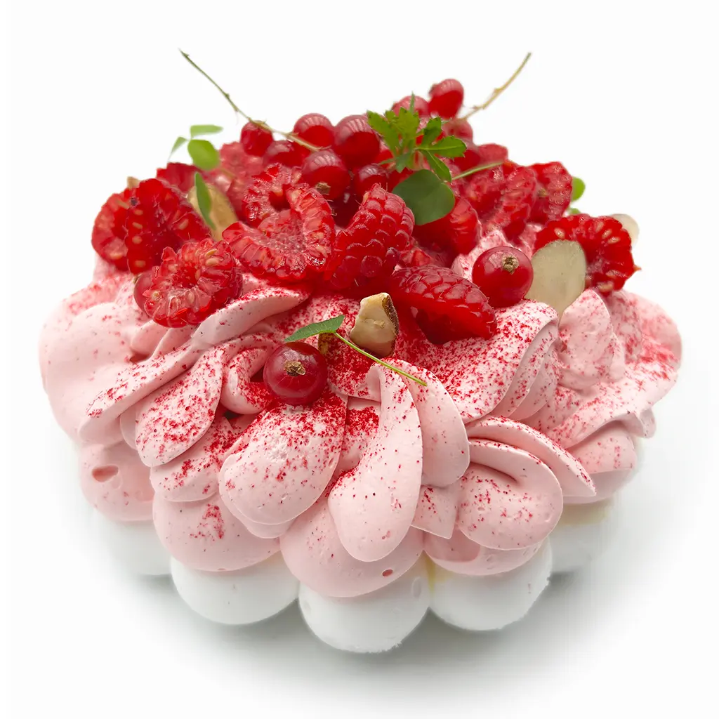 Pavlovas Joël MAIER à Lyon