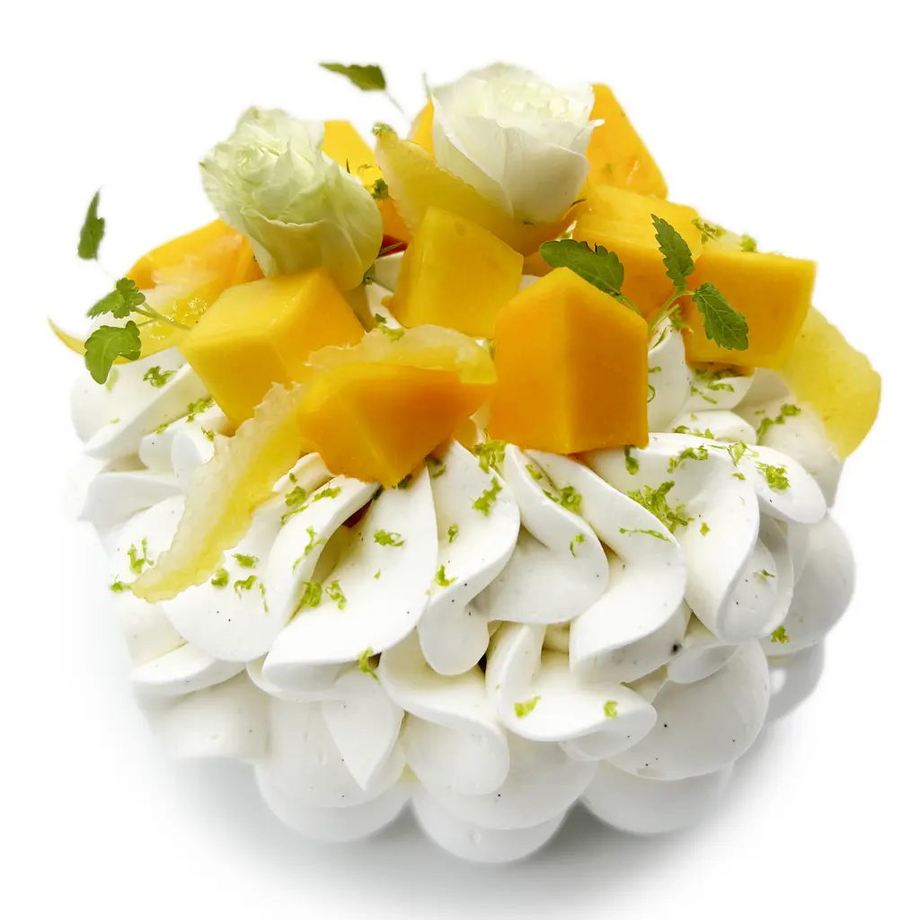 Pavlovas Joël MAIER à Lyon