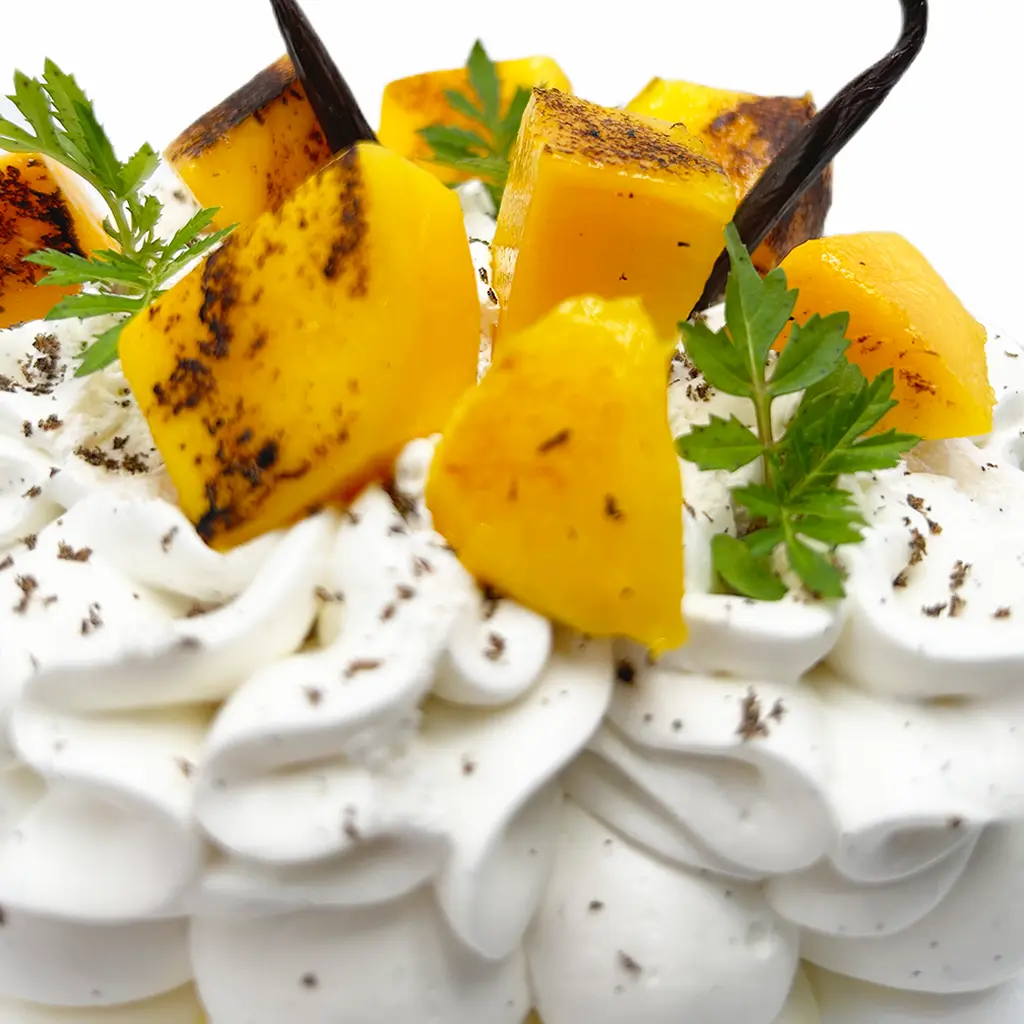Pavlovas Joël MAIER à Lyon