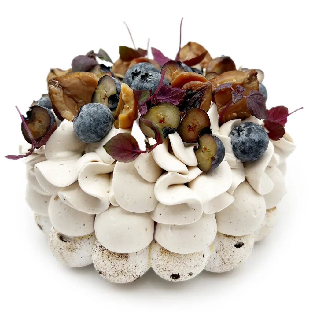 Pavlovas Joël MAIER à Lyon