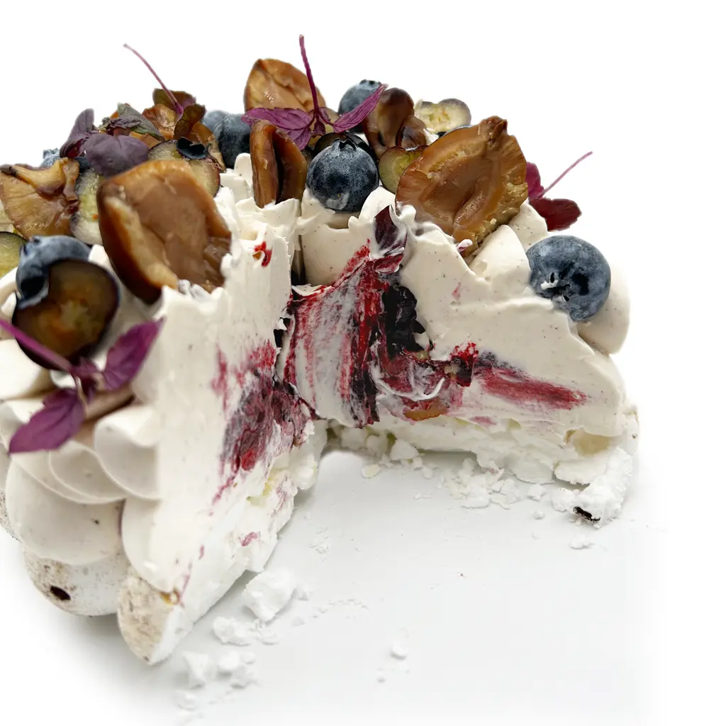 Pavlovas Joël MAIER à Lyon