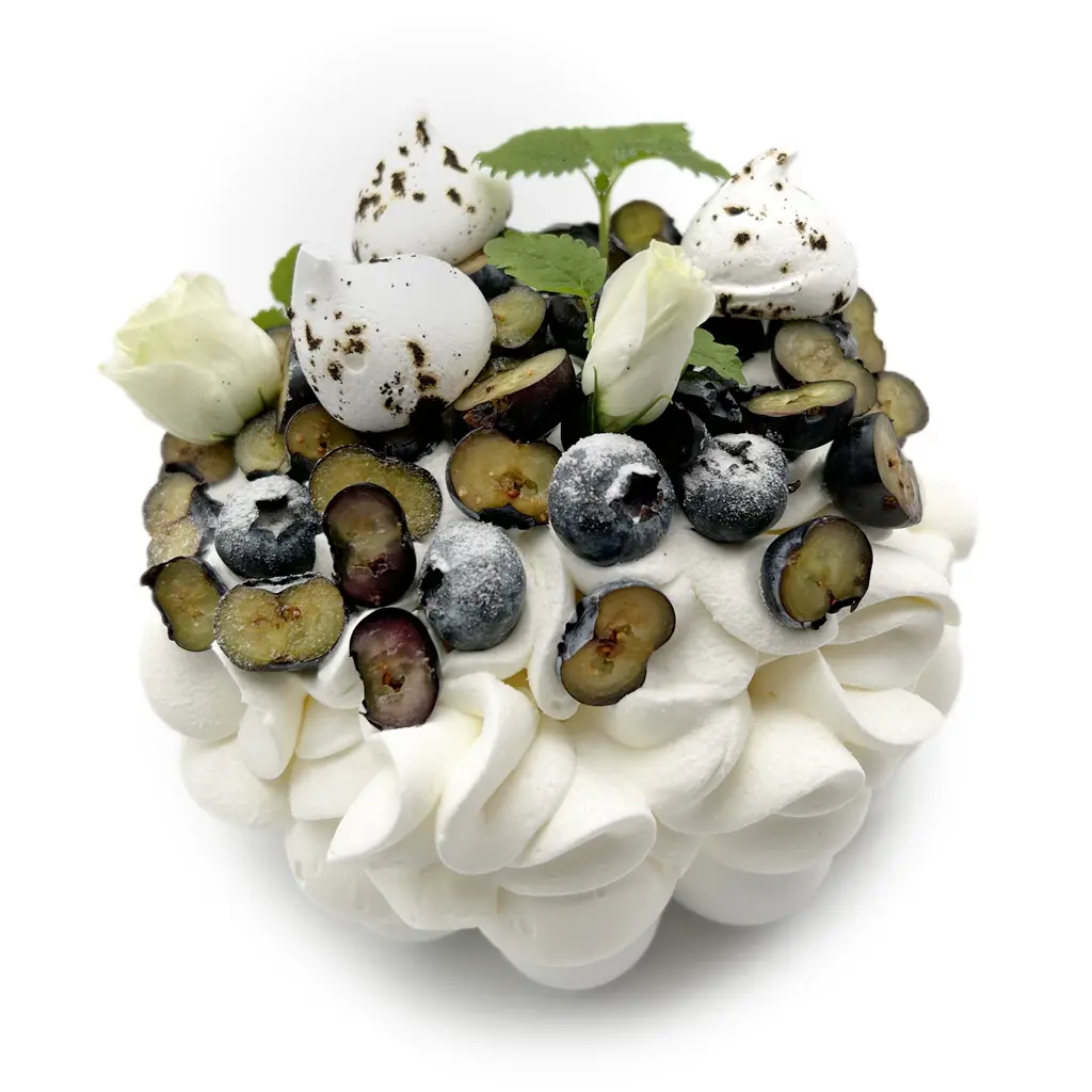Pavlovas Joël MAIER à Lyon