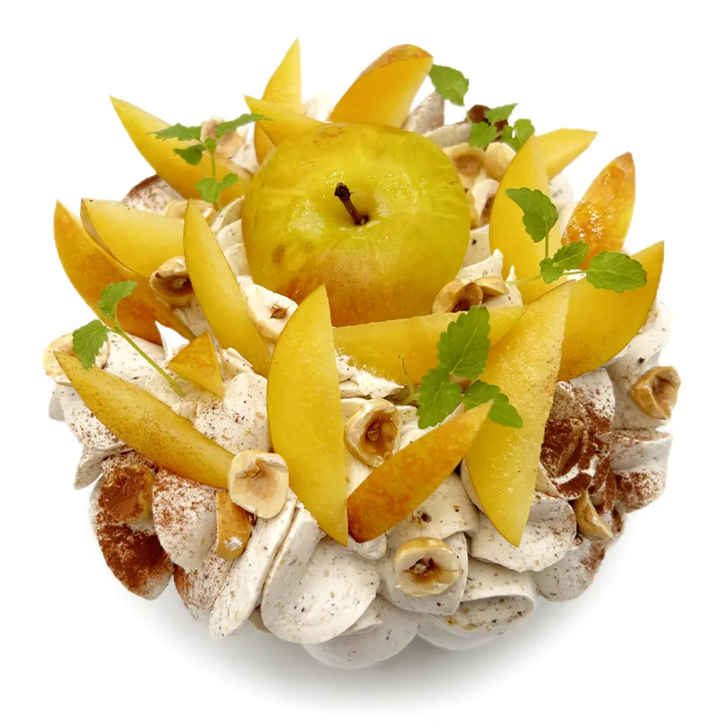 Pavlovas Joël MAIER à Lyon