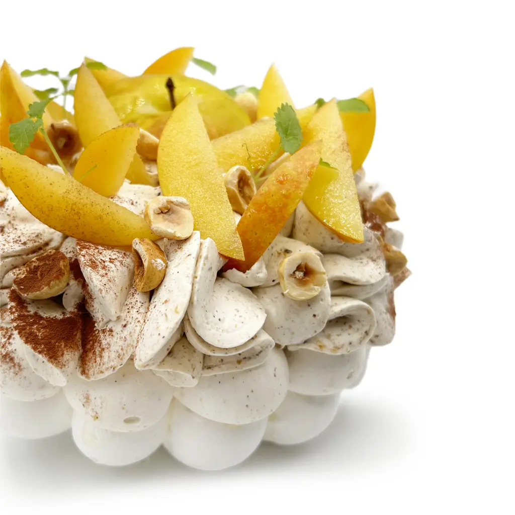 Pavlovas Joël MAIER à Lyon