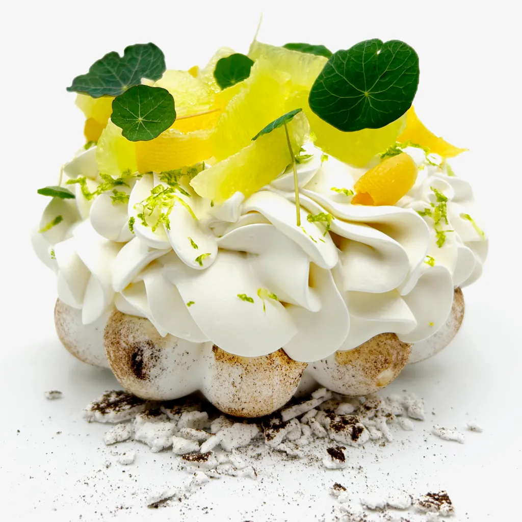 Pavlovas Joël MAIER à Lyon