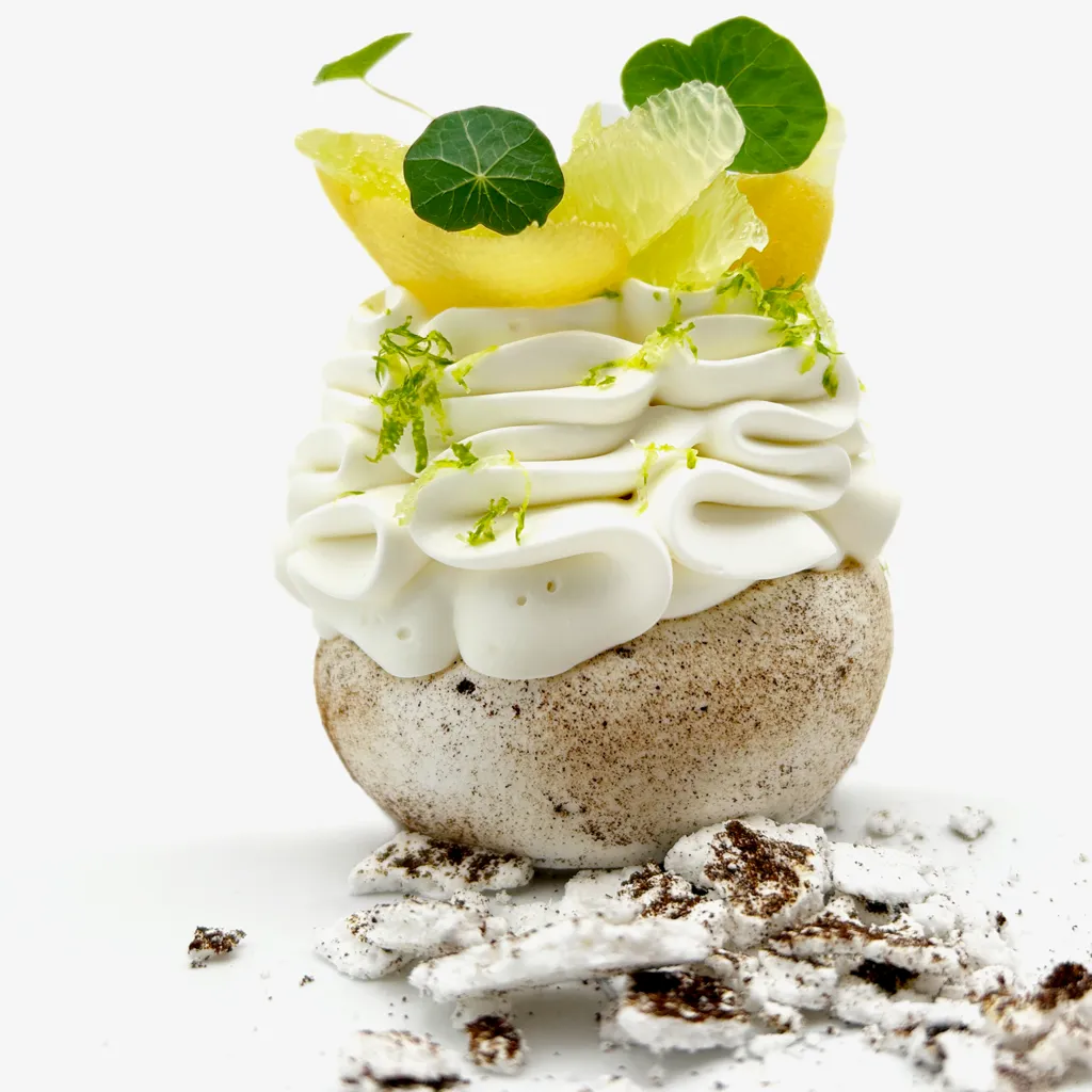 Pavlovas Joël MAIER à Lyon