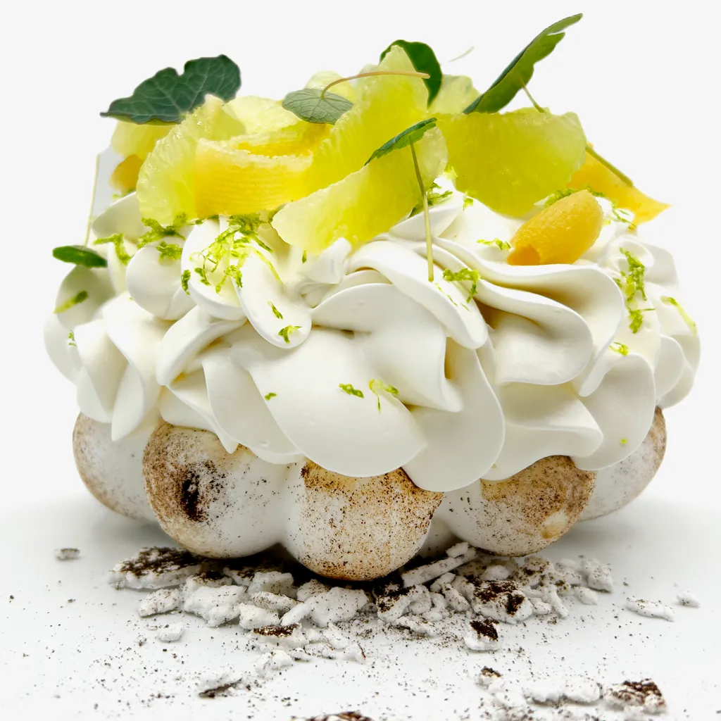 Pavlovas Joël MAIER à Lyon