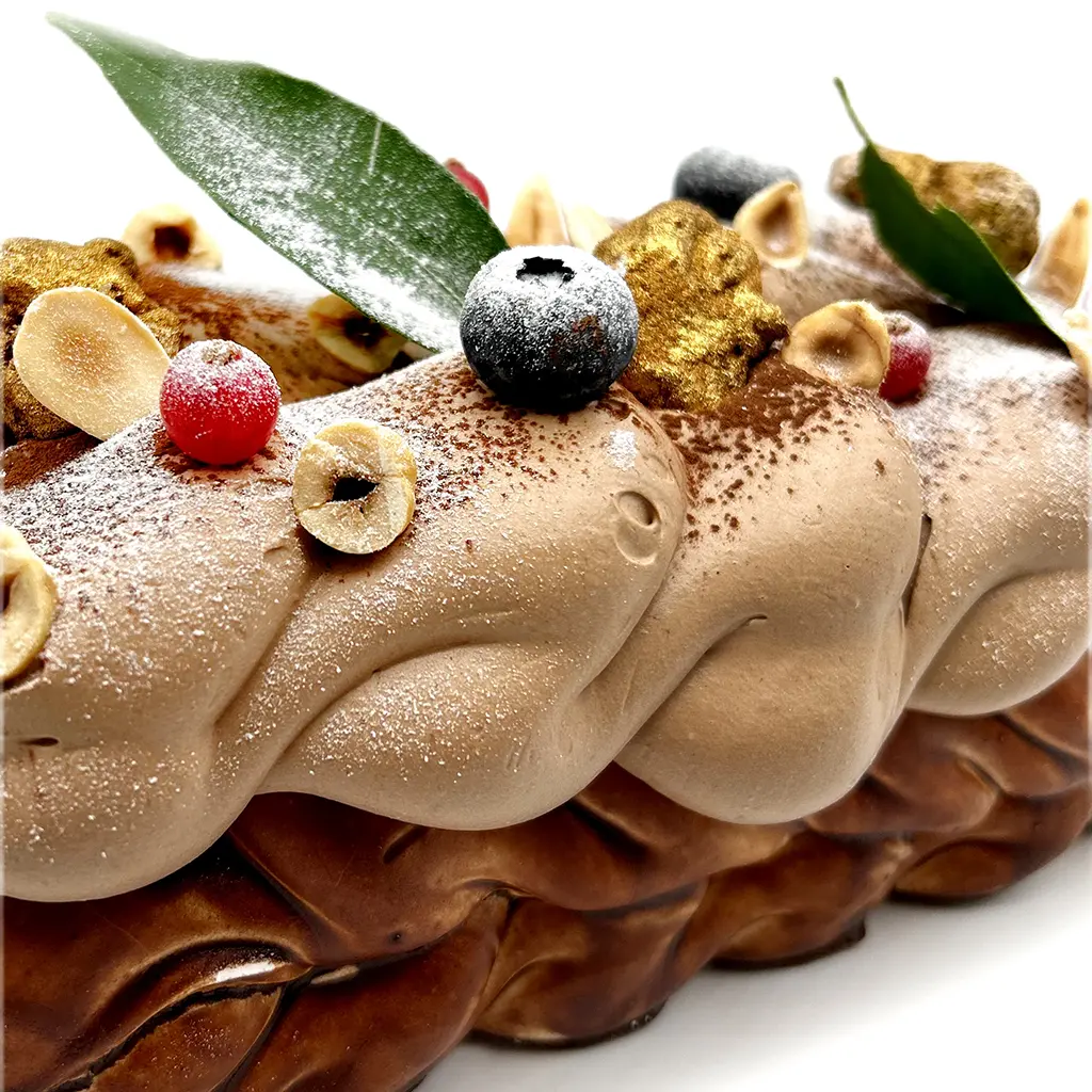 Pavlovas Joël MAIER à Lyon