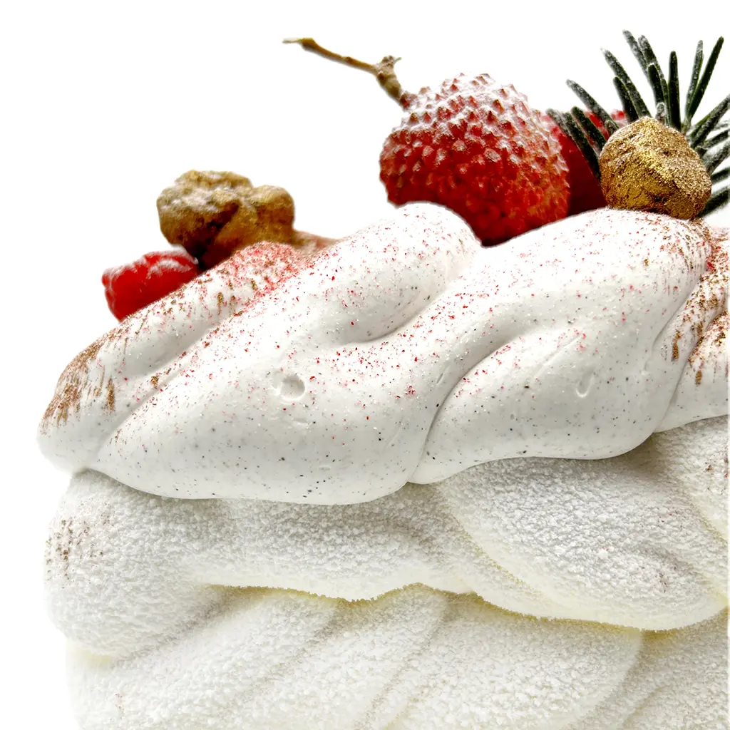 Pavlovas Joël MAIER à Lyon
