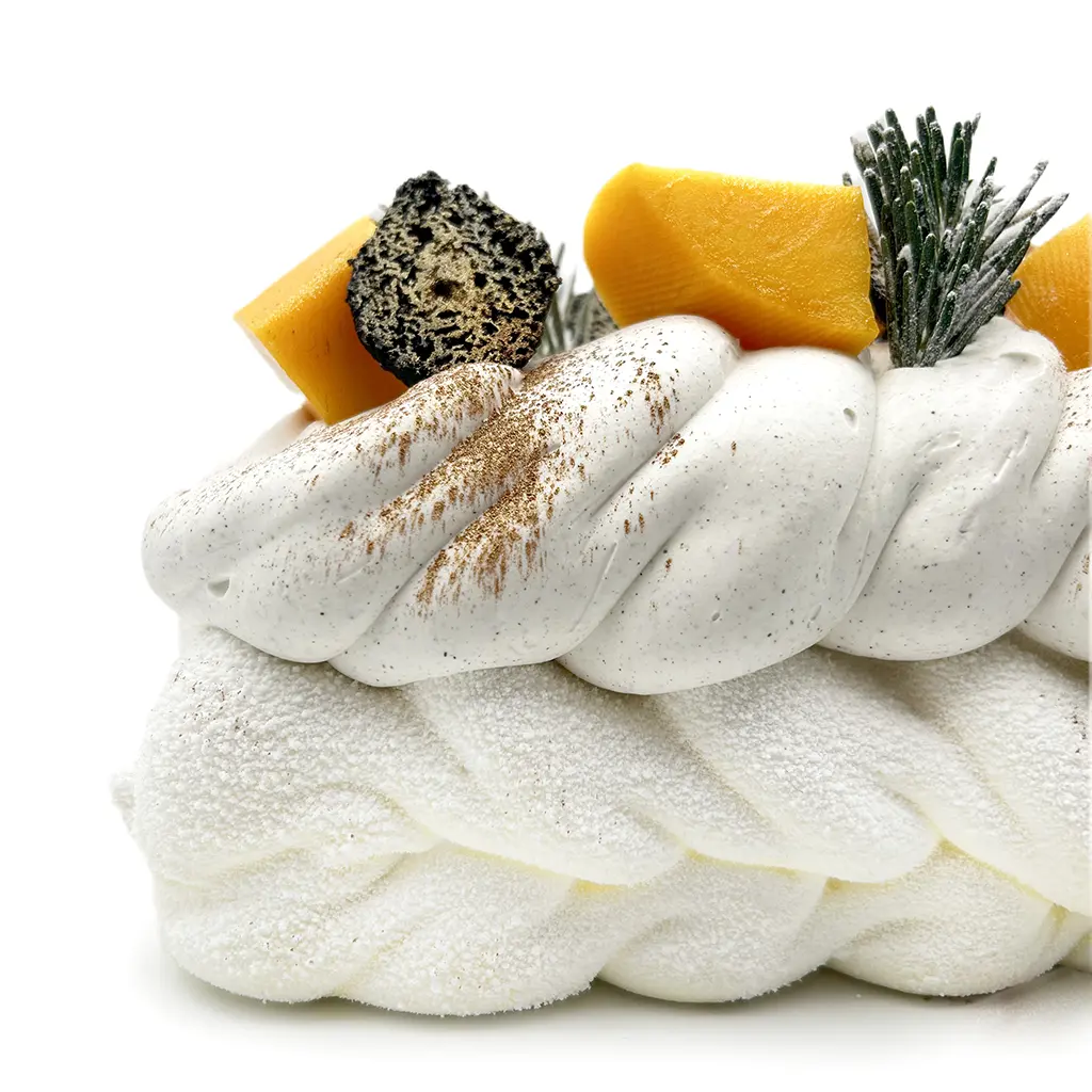 Pavlovas Joël MAIER à Lyon