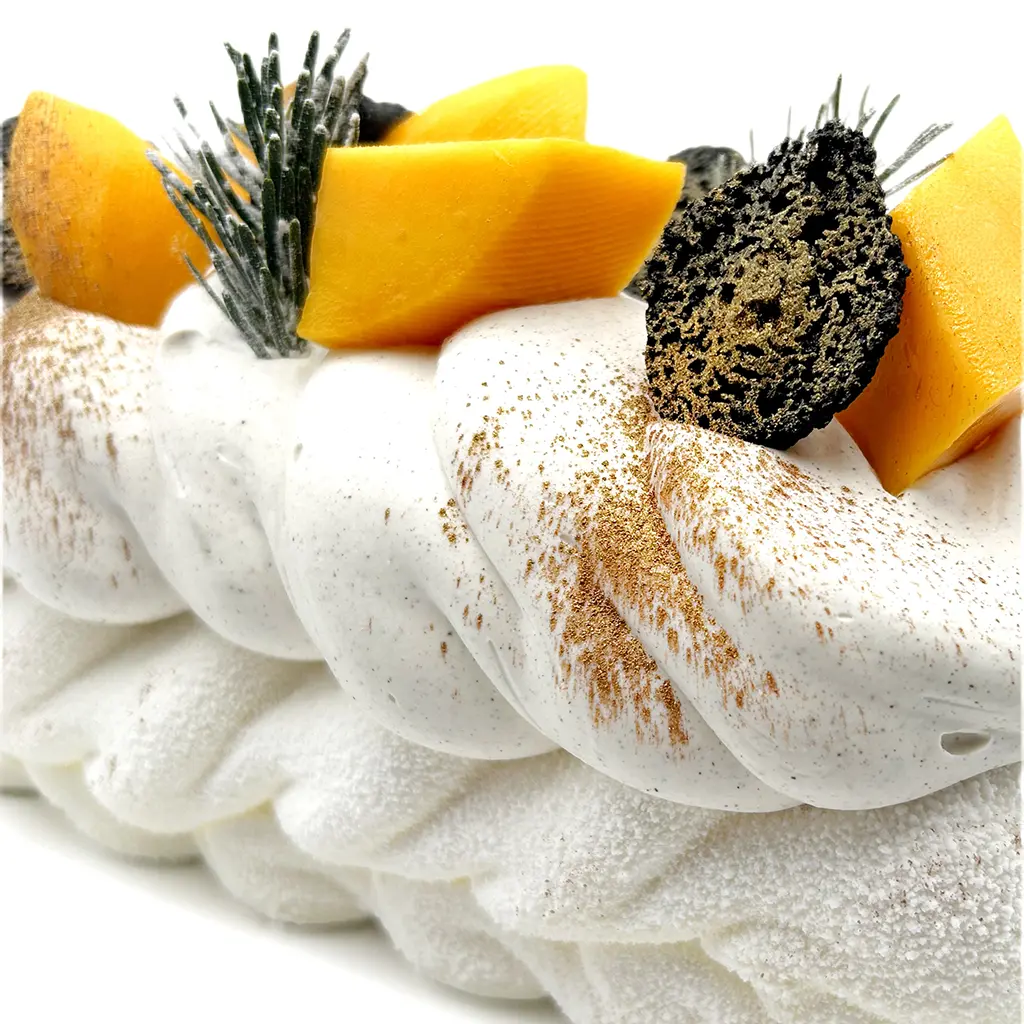 Pavlovas Joël MAIER à Lyon