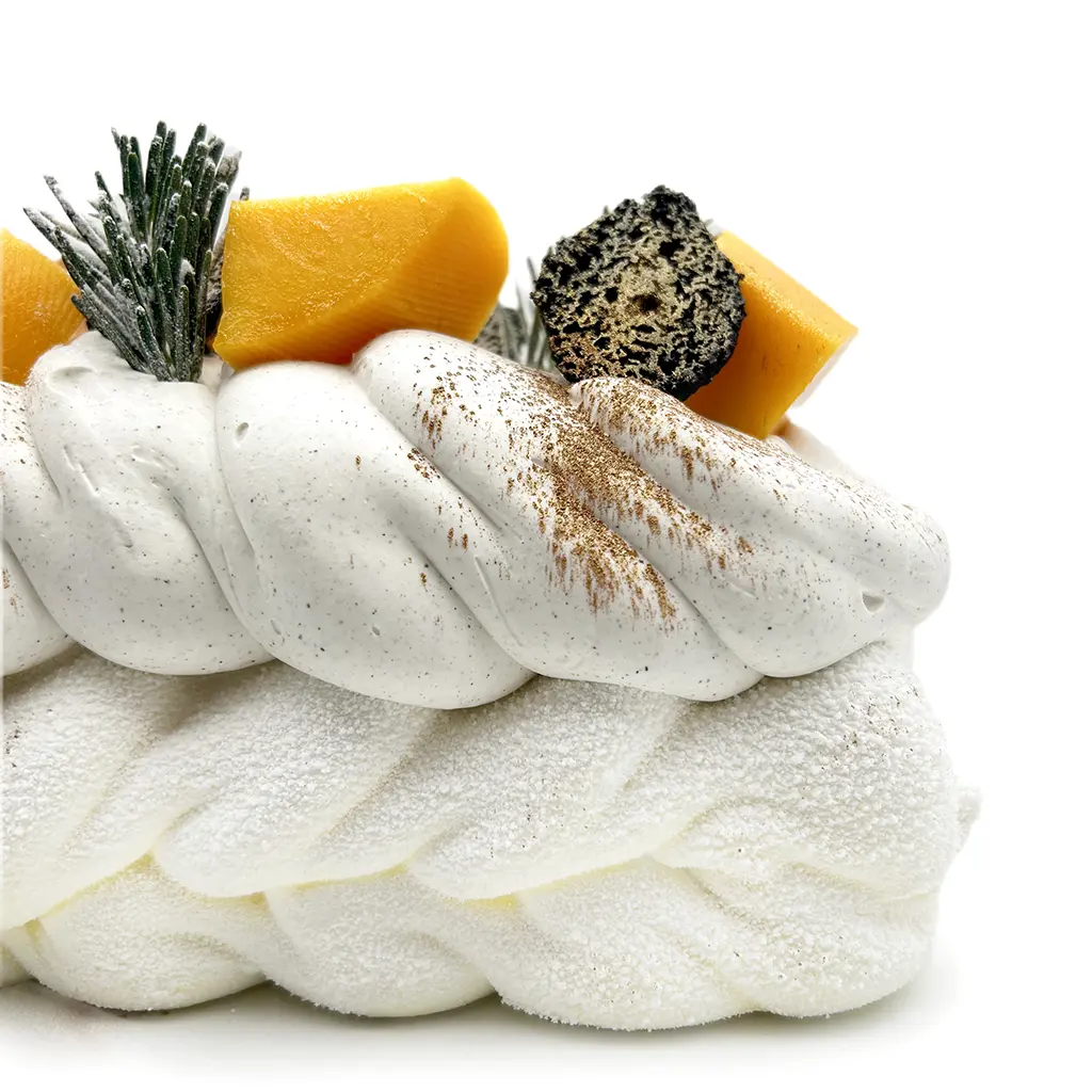 Pavlovas Joël MAIER à Lyon