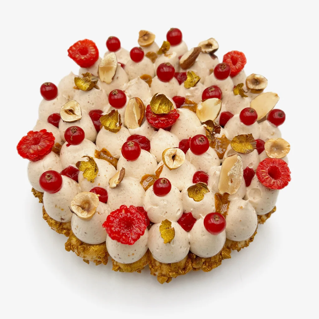 Pavlovas Joël MAIER à Lyon