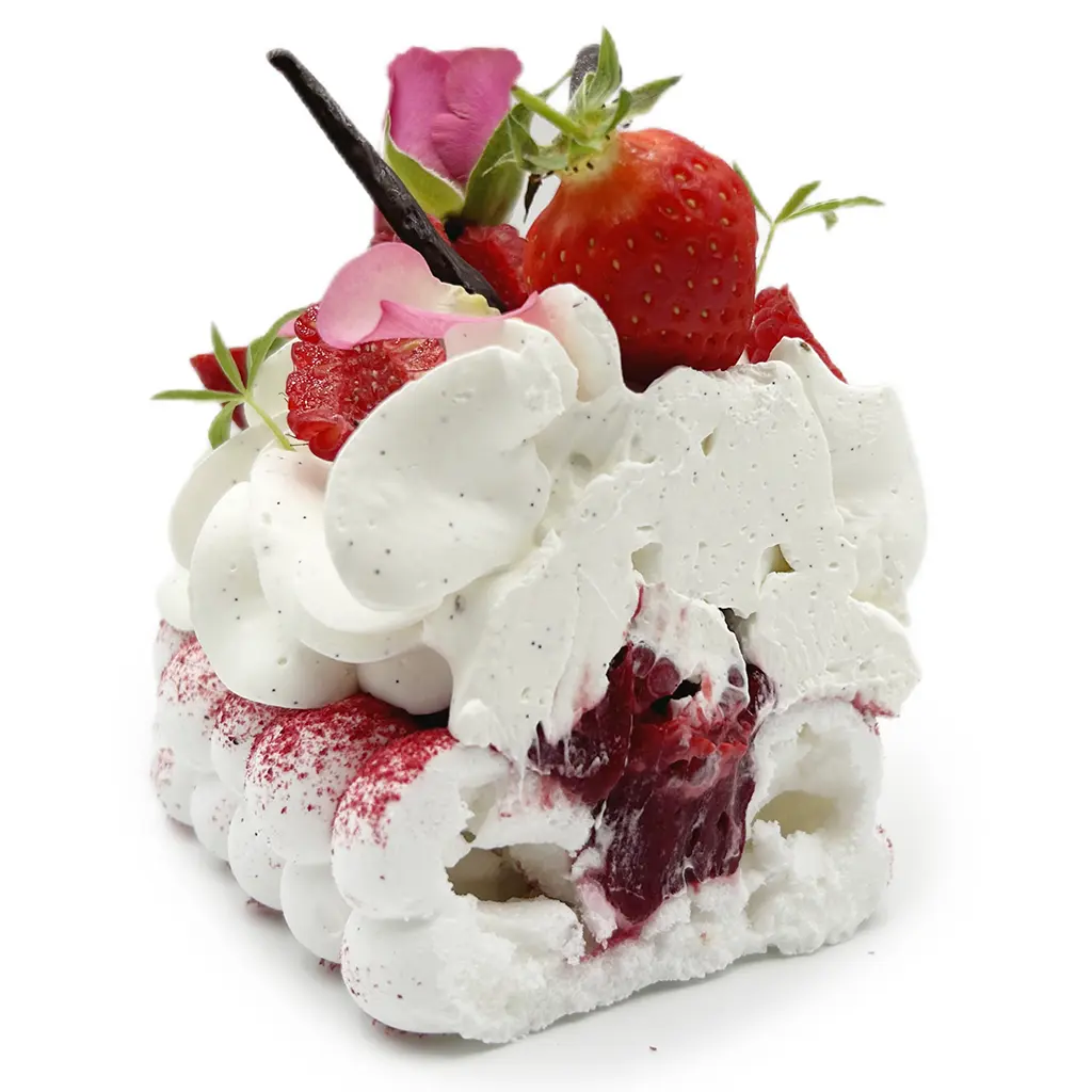 Pavlovas Joël MAIER à Lyon