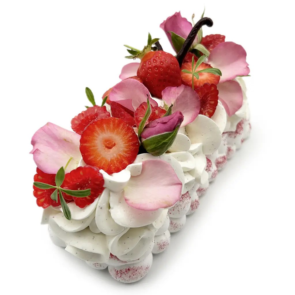 Pavlovas Joël MAIER à Lyon