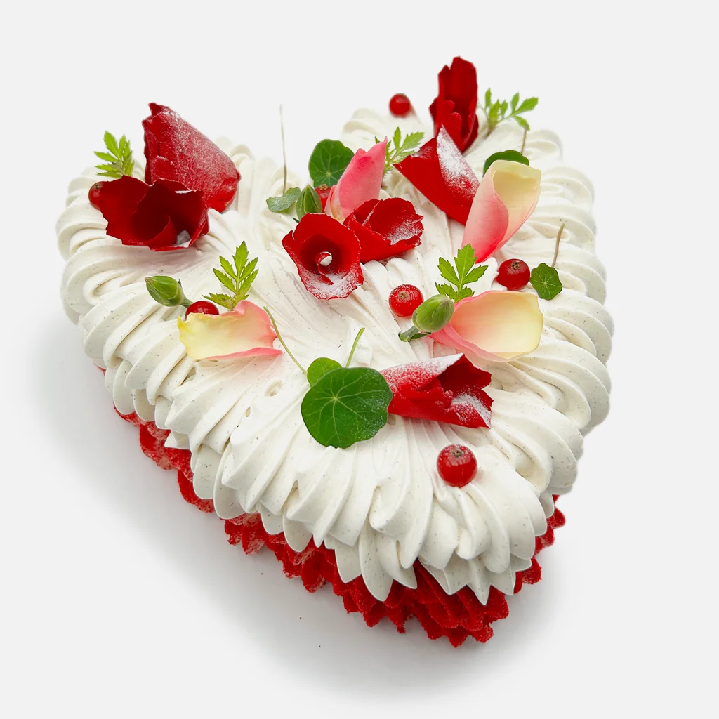 Pavlovas Joël MAIER à Lyon