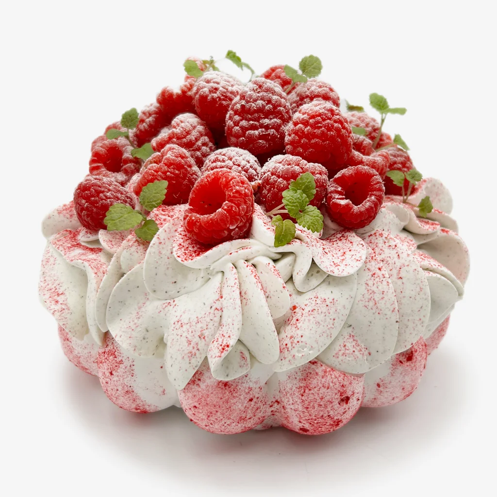 Pavlovas Joël MAIER à Lyon