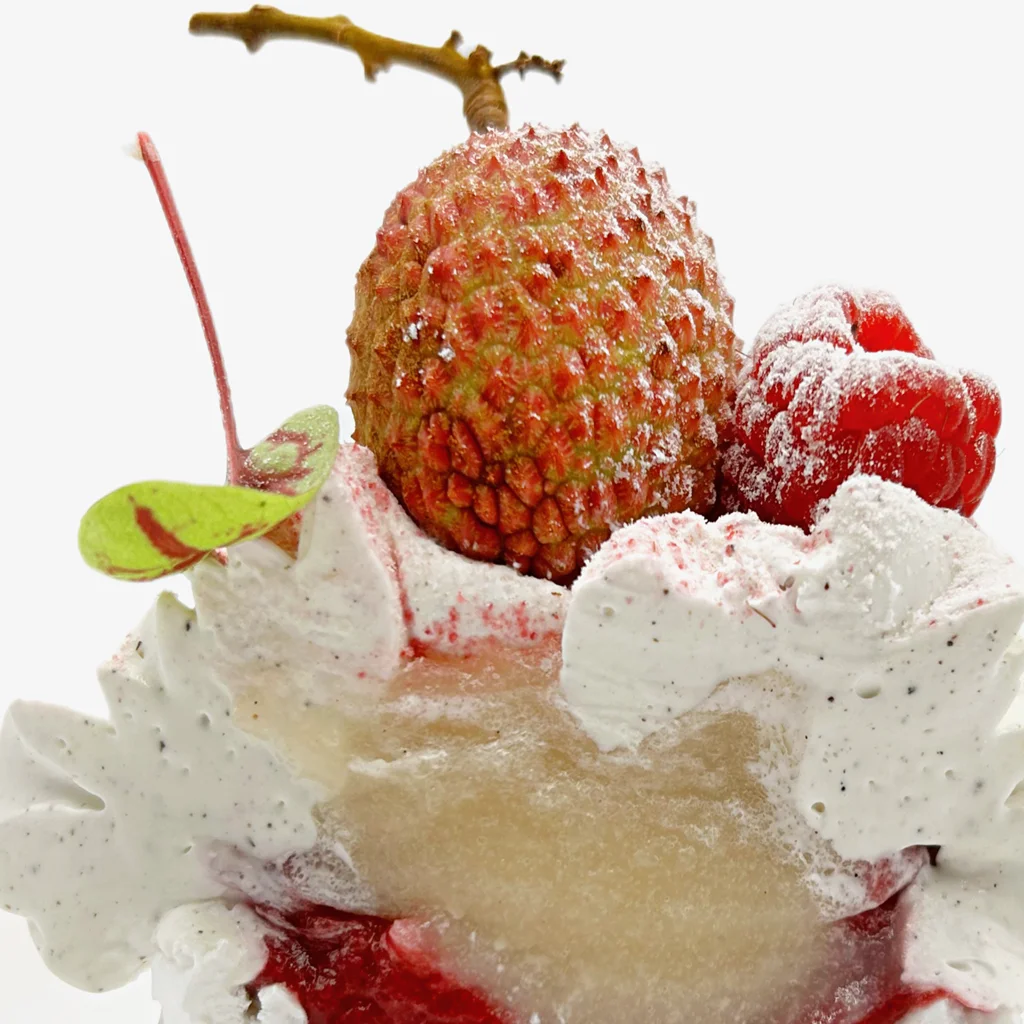 Pavlovas Joël MAIER à Lyon