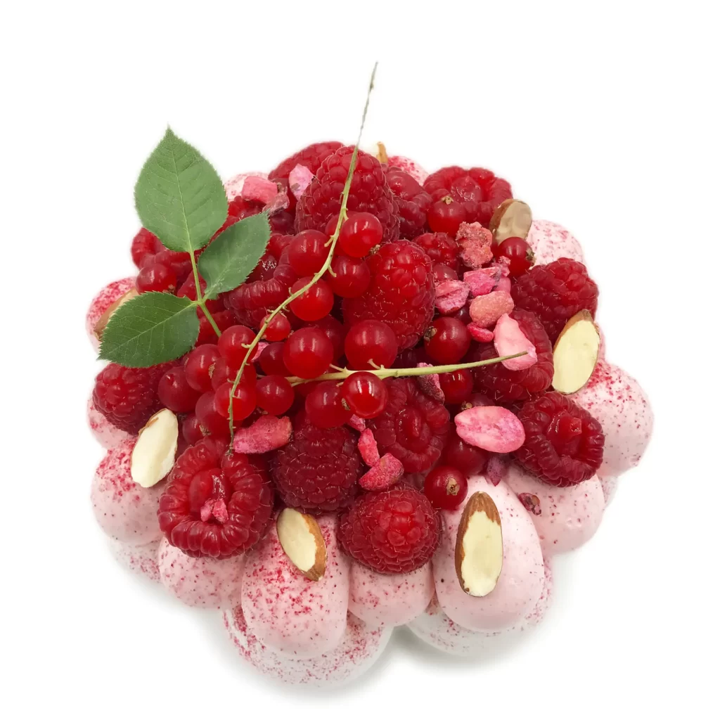 Pavlovas Joël MAIER à Lyon