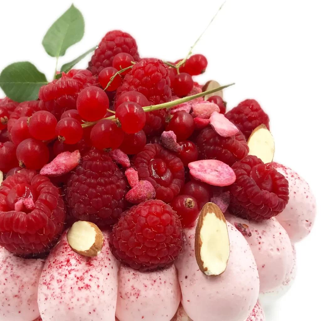 Pavlovas Joël MAIER à Lyon