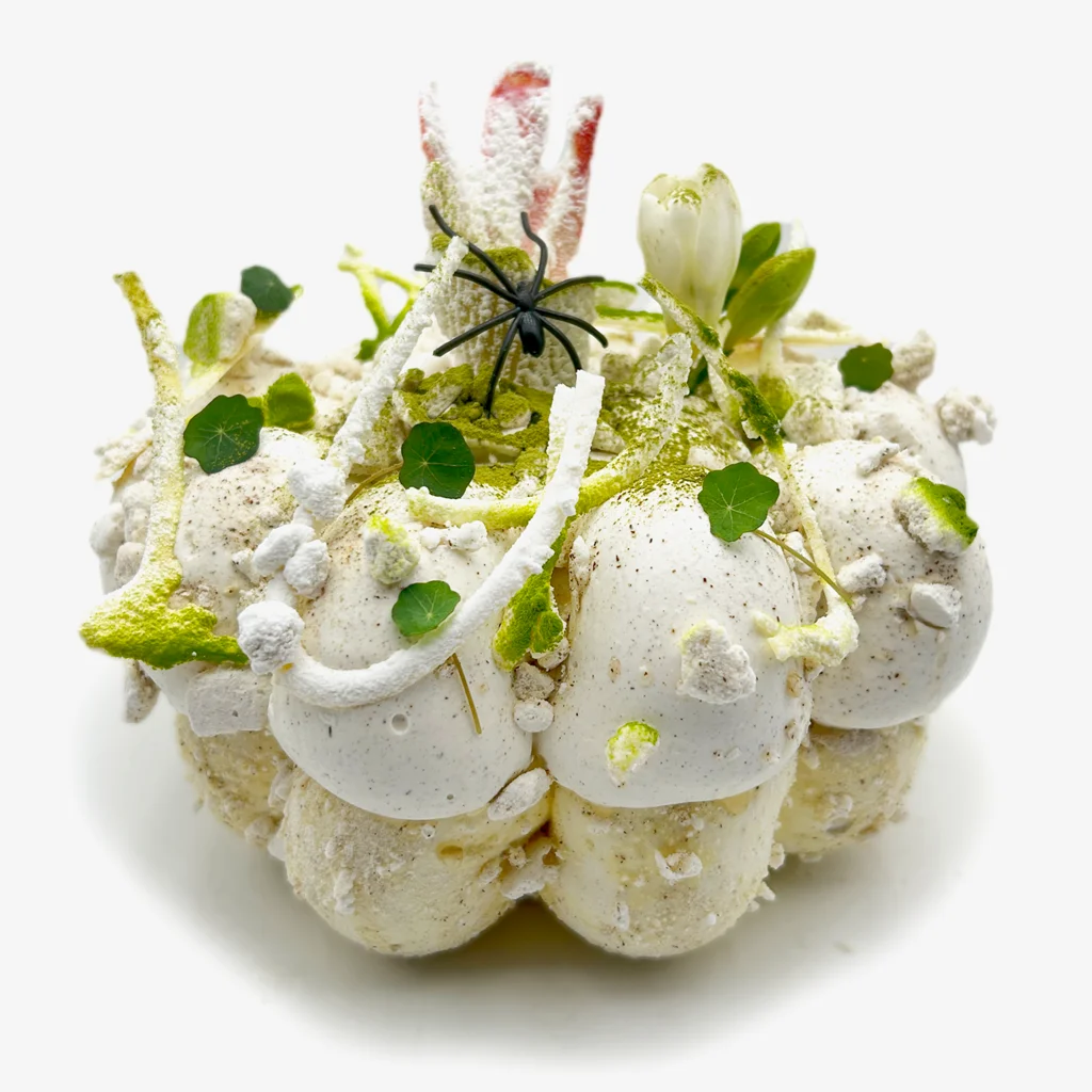 Pavlovas Joël MAIER à Lyon