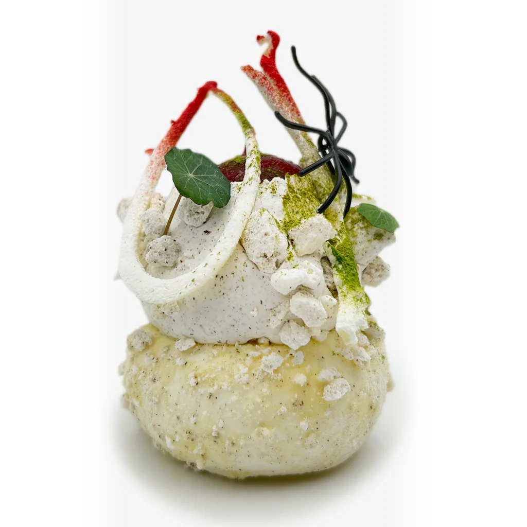 Pavlovas Joël MAIER à Lyon